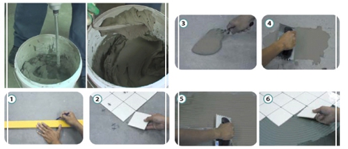 ǫ ͧ  Gold Crocodile Premium Modified Cement Tile Adhesive  شʹǫдѺ ٷѺͧغ
